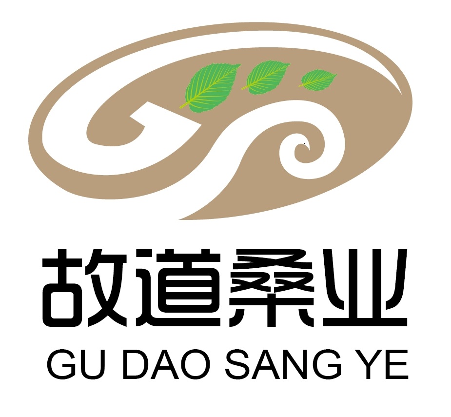 喝茶就可以防脫生發(fā)，太神奇了！桑葉養(yǎng)生茶
