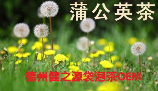 蒲公英茶，今天您喝了嗎？